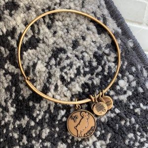 alex and ani aries bracelet